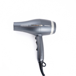 سشوار پرینسلی کد PR279AT