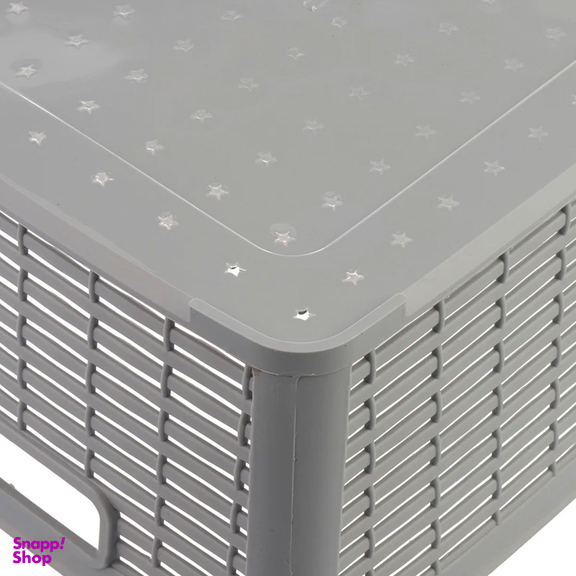 سبد میوه مدل سارینا کد 002