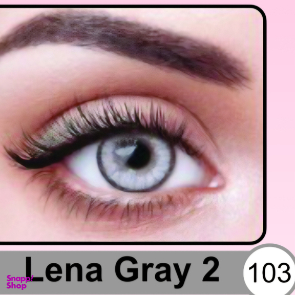 لنز چشم روزانه نیوویژن رنگ طوسی لنا دور مشکی شماره 103 به همراه جالنزی