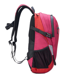 کوله پشتی دلسی مدل NOMADE کد 3335610