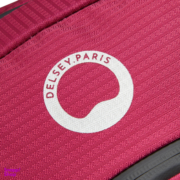 کوله پشتی ورزشی دلسی مدل NOMADE کد 3335611