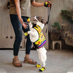 قلاده کتفی سگ و گربه تادو کد S106 سایز S