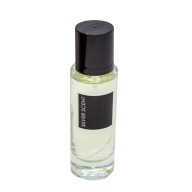 عطر جیبی مردانه پرستیژ مدل سیلور سکنت