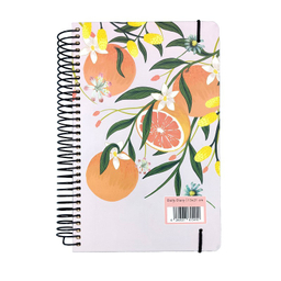 سالنامه سال 1404 سم طرح میوه