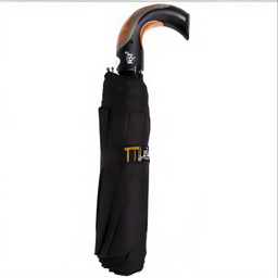 چتر اتومات لوکس آر اس تی کد 097