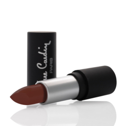 رژ لب جامد پیر کاردین کد Brown Red 11204