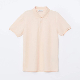 پولوشرت مردانه ال سی وایکیکی مدل Casual Style