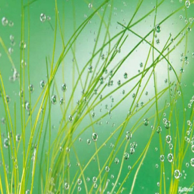 پوستر دیواری کومار مدل 889-8