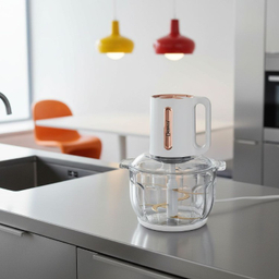 خردکن دسینی مدل DS155