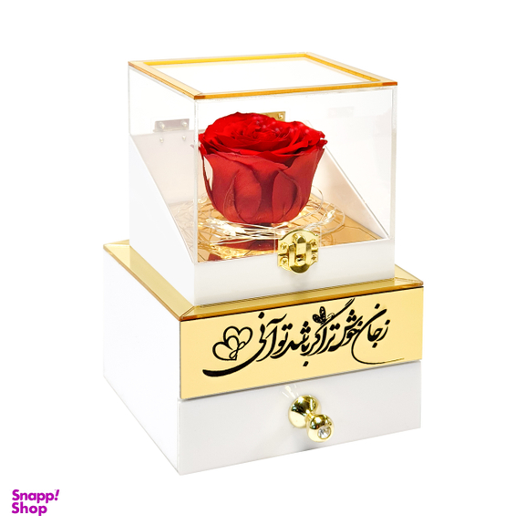 باکس گل رز جاودان مدل موزیکال کوکی طرح ز جان خوشتر