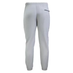 شلوار ورزشی مردانه مدل GS-m-M-SRN-245189 رنگ طوسی کمرنگ