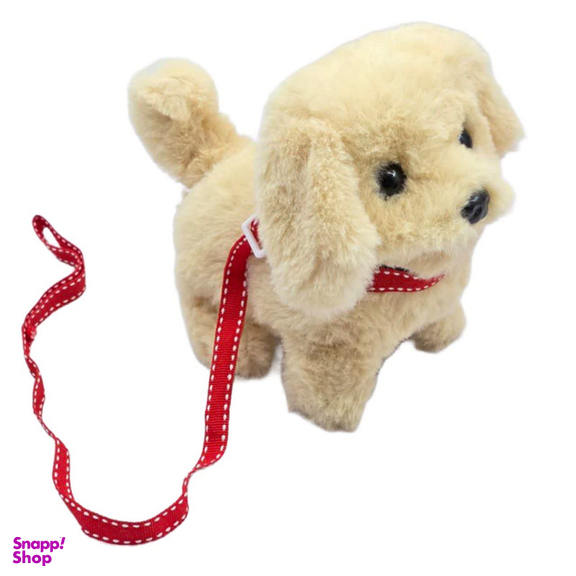 عروسک ناب سل مدل سگ پولیشی قلاده دار موزیکال جعبه دار Polish collared dog NAAB002 ارتفاع 15 سانتی متر
