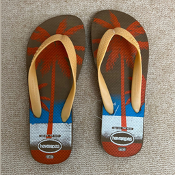 دمپایی لاانگشتی زنانه هاواینس مدل Br00