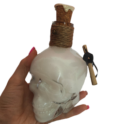 دکوری مدل SKELE gro Harry Potter Potion