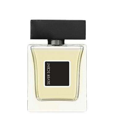 ادوتویلت مردانه نیو پرستیژ کالر مدل Silver Scent