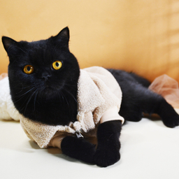 لباس سگ و گربه مدل 604 رنگ طوسی