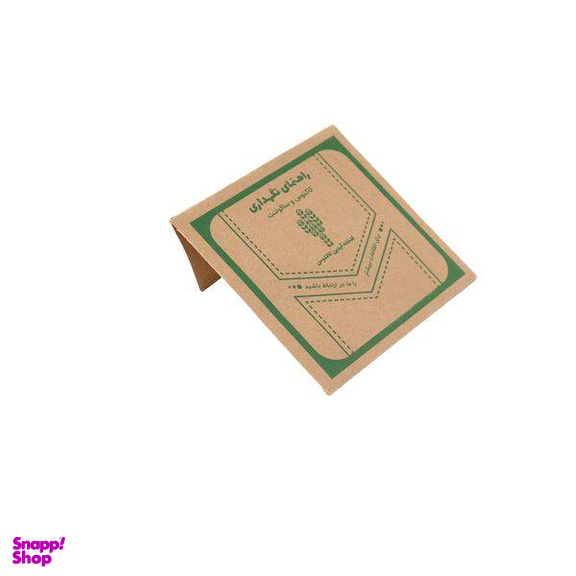 گیاه طبیعی کاکتوس و ساکولنت آیدین کاکتوس کد CB-009 بسته 12 عددی