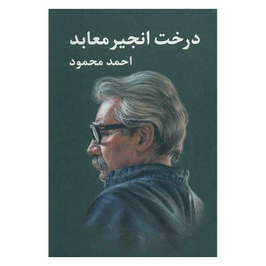 کتاب درخت انجیر معابد اثر احمد محمود انتشارات معین 2 جلدی