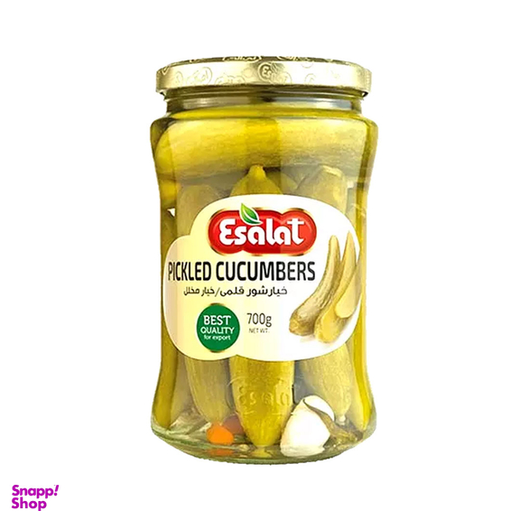 خیارشور معمولی اصالت وزن 700 گرم