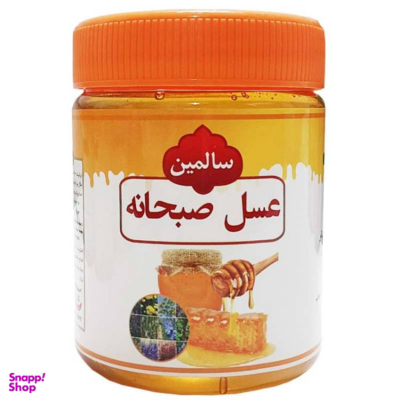 عسل صبحانه سالمین وزن 500 گرم