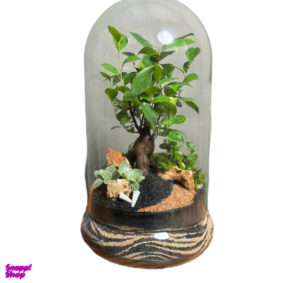 تراریوم بنسای پلنت لند مدل یلو موج