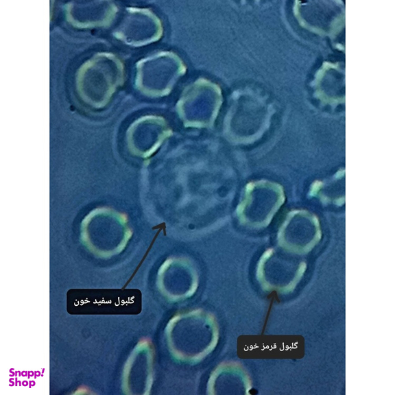 میکروسکوپ دوچشمی مدل Binocular 1000X به همراه کیف حمل