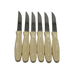 چاقو میوه خوری روک کد 010002 مجموعه 6 عددی