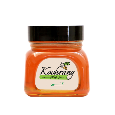 عسل ارگانیک گون رویال کندو کوهرنگ وزن 450 گرم