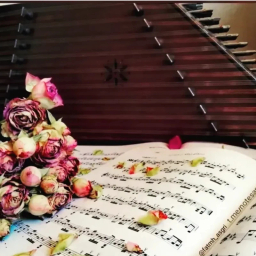 سنتور مدل شور کوک 5 مهر کد A 43