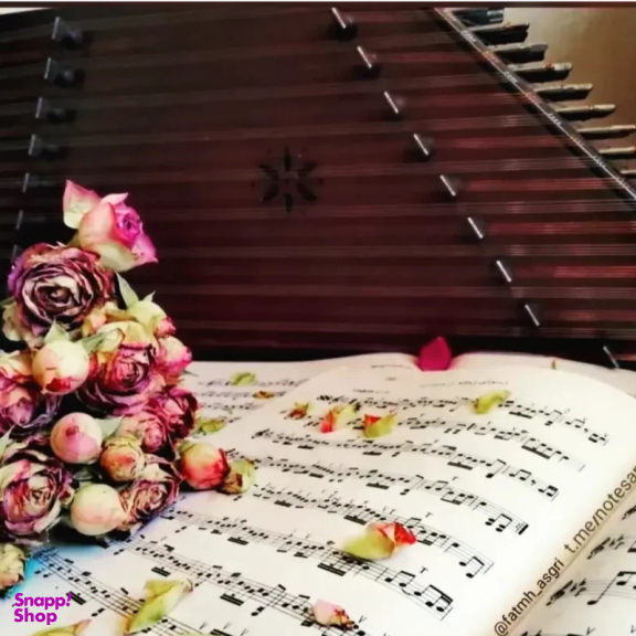 سنتور مدل شور کوک 5 مهر کد A 43