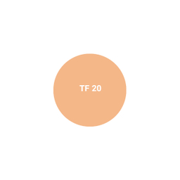 کرم پودر اشتون شماره TF 20 حجم 30 میلی لیتر