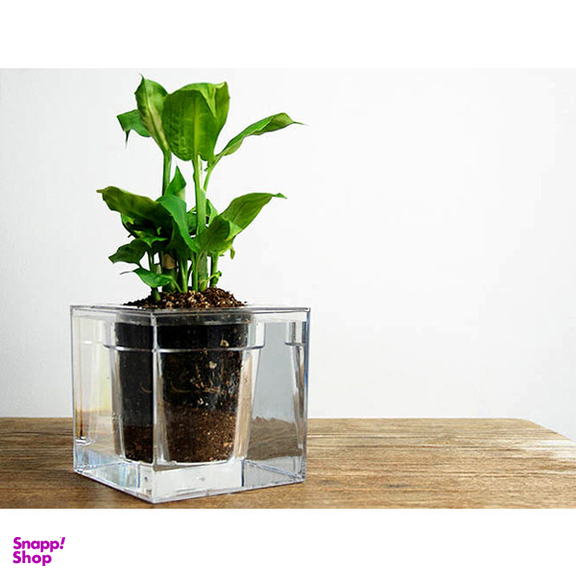 آکواریوم مدل گلدان شفاف