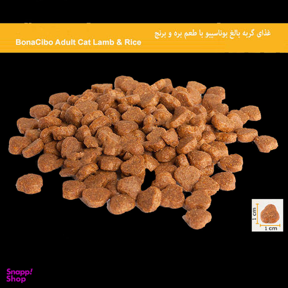 غذای خشک گربه بالغ بوناسیبو مدل بره و برنج وزن 2 کیلوگرم