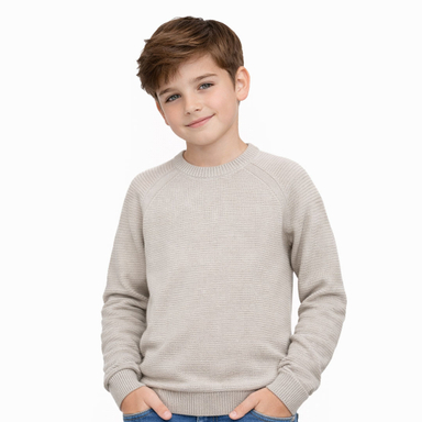 پلیور پسرانه کولزیون مدل یقه گرد کد 107