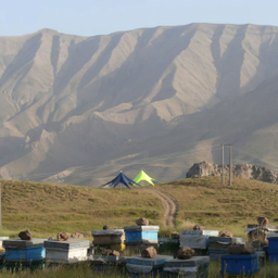 سایبان ستاره ای موفلان مدل استارتنت st110m