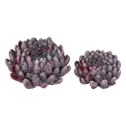 سنگ تزئینی آکواریوم مدل TOTO بسته 2 عددی