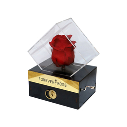 جعبه گل رز جاودان مدل موزیکال کشودار MeloRose