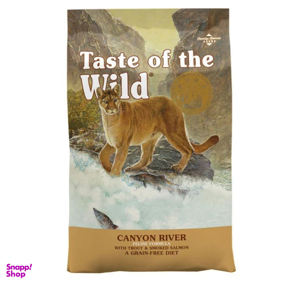 غذای خشک گربه تیست آف ویلد مدل قزل آلا و ماهی سالمون وزن 2 کیلوگرم