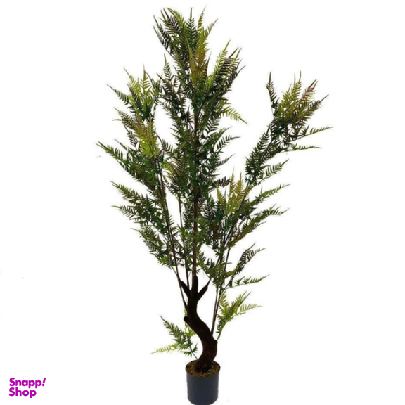 درختچه کنار سالنی مدل سرخسی کد 2141