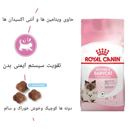 غذای خشک بچه گربه رویال کنین مدل مادر اند بیبی وزن 2 کیلوگرم