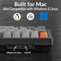 کیبورد مخصوص بازی کیکرون مدل K4 Max RGB Red Switch