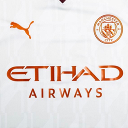 ست تیشرت و شلوارک ورزشی مردانه مدل منچستر سیتی Away 2024