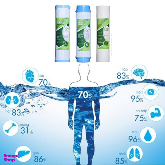 فیلتر دستگاه تصفیه آب بلوط مدل RO 2500 GL مجموعه 3 عددی