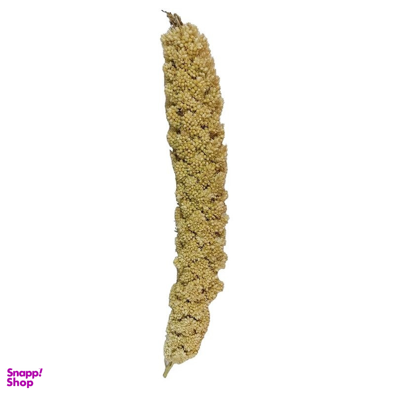غذای پرنده مدل ارزن خوشه ای کد 020 بسته 20 عددی