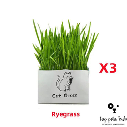 علف گربه Catgrass مدل ca200