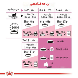غذای خشک گربه رویال کنین مدل بالغ عقیم شده وزن 2 کیلوگرم