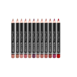 مداد لب دراگون رانی مدل Professional مجموعه 12 عددی