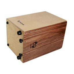 کاخن مانوس کد 2