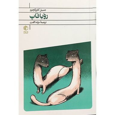 کتاب رويا قاپ اثر جميل كاووكچوو انتشارات مان كتاب
