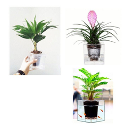 آکواریوم مدل گلدان مجموعه دو عددی